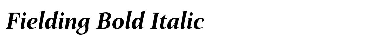 Fielding Bold Italic image